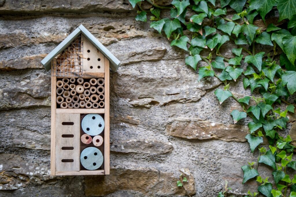 insect home 2026 01 06 09 20 07 utc